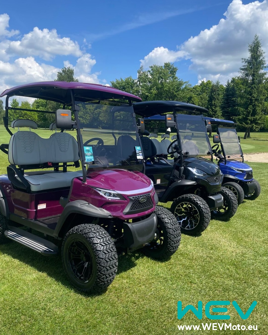 Pojazdy elektryczne dla branży hotelarskiej